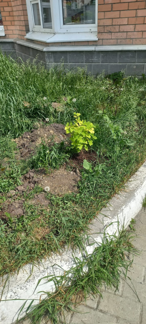 Изображение WhatsApp 2025-06-10 в 08.26.35_f70d39a8.jpg