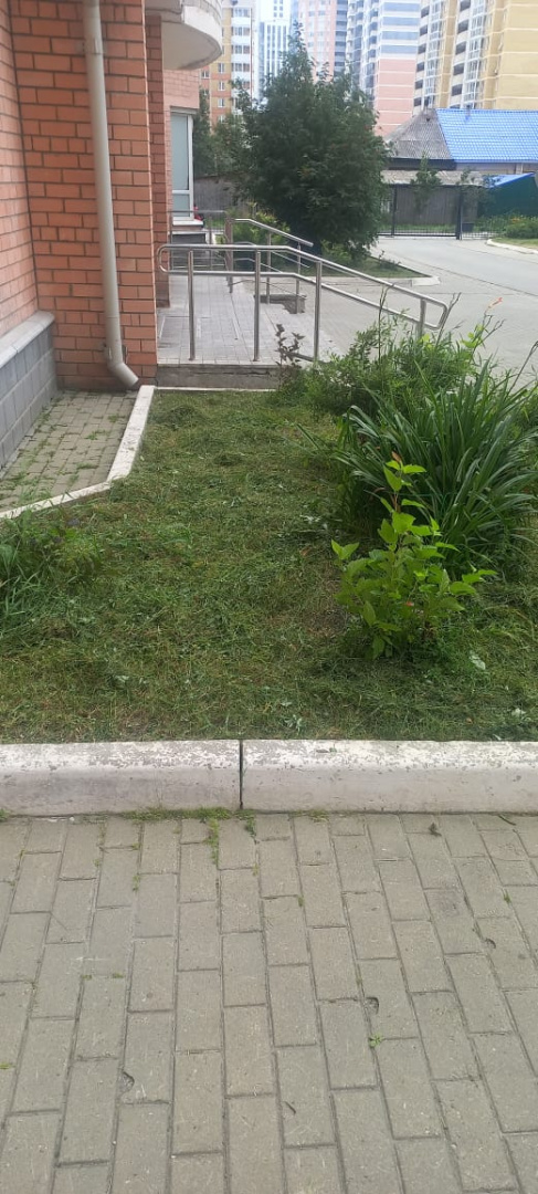 Изображение WhatsApp 2025-08-11 в 14.03.47_a8595c48.jpg
