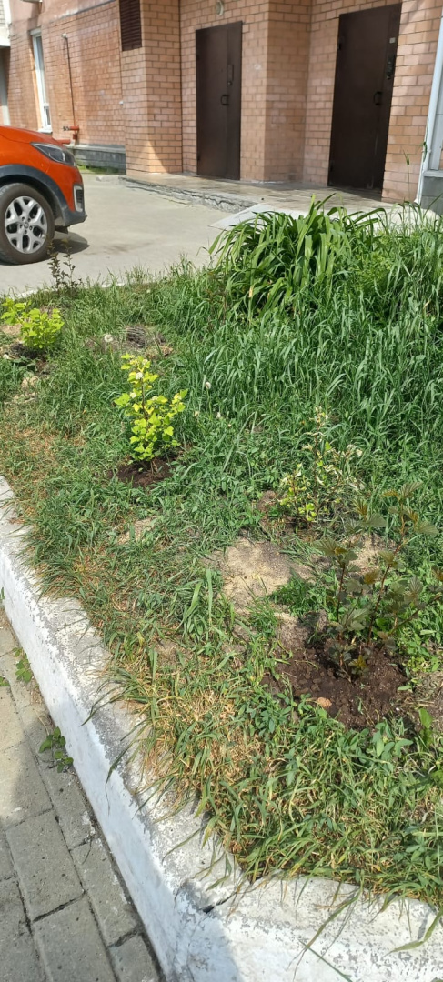 Изображение WhatsApp 2025-06-10 в 08.26.36_2e54a1da.jpg