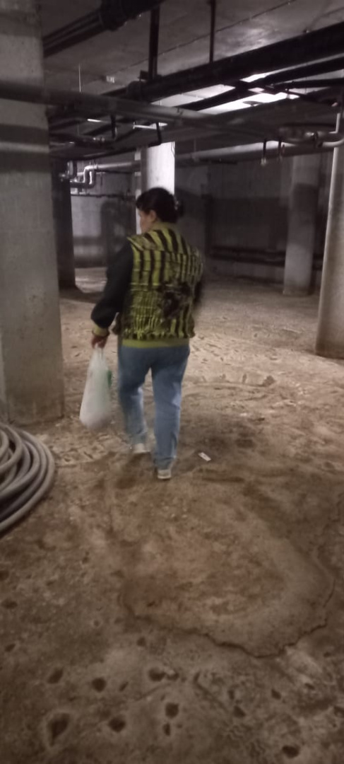 Изображение WhatsApp 2025-07-22 в 16.13.36_8c6c4804.jpg