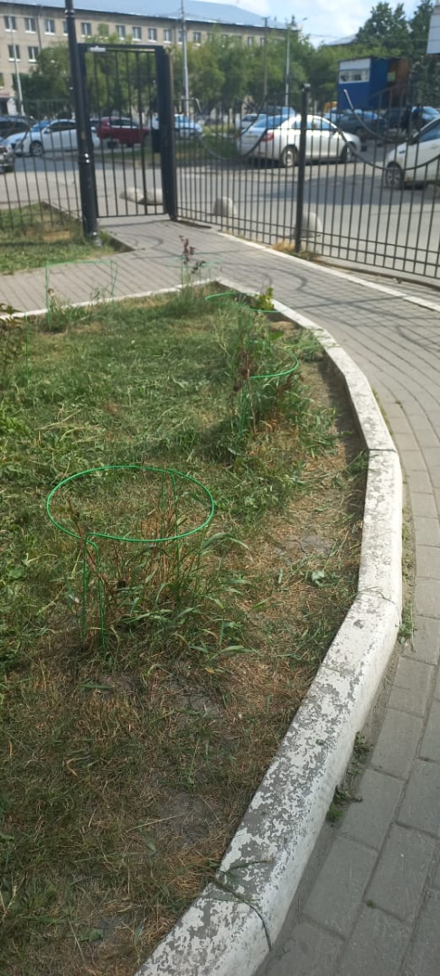 Изображение WhatsApp 2025-06-18 в 09.47.14_611b9293.jpg